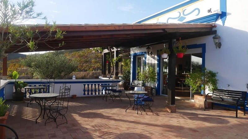 Albufeira, Olhão, Faro: Visit a vineyard, Free time in Silves - Silves, from Moorish walls to open views
