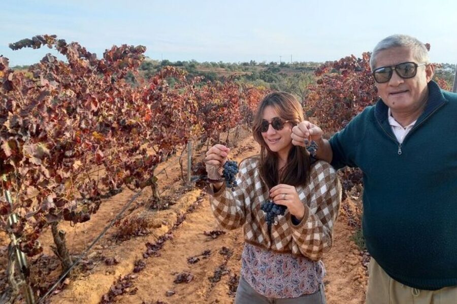 Albufeira/Vilamoura: Winery Tour with Wine Tasting and Tapas - A local winery instead of a crowded tasting bar