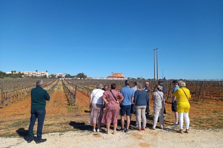 Albufeira/Vilamoura: Winery Tour with Wine Tasting and Tapas - The pastel de nata and almond firewater finale