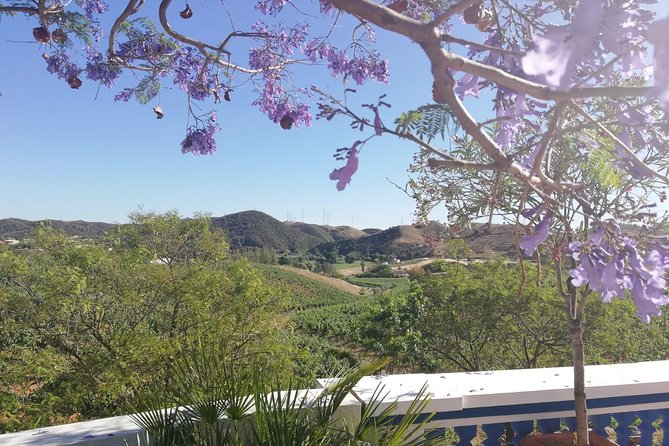 Albufeira Wine Tasting: Boutique Winery Tour & Historic Silves - Inside a working Algarve winery