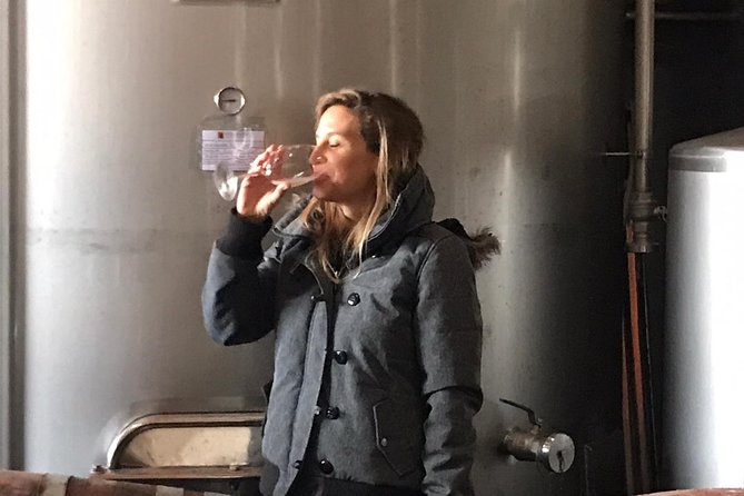 Albufeira Wine Tasting: Boutique Winery Tour & Historic Silves - The guide can make or break the day