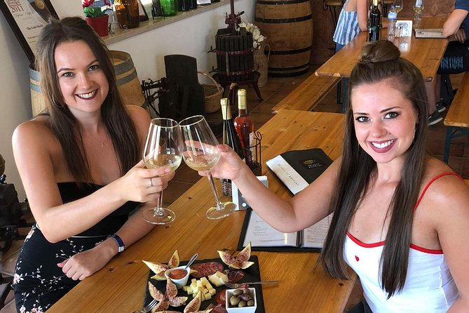 Albufeira Wine Tour: 2 Vineyards, 6 Tastings & Historic Silves - Six tastings, local snacks, and sensible expectations