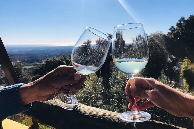 Albufeira Wine Tour: 2 Vineyards, 6 Tastings & Historic Silves - Is the $108.84 price good value?