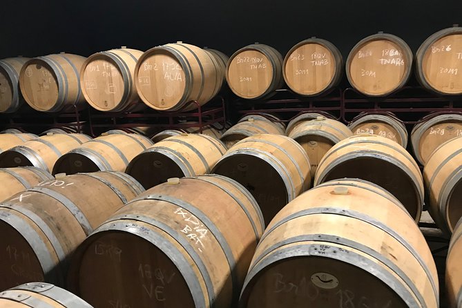 Albufeira Wine Tour: 2 Vineyards, 6 Tastings & Historic Silves - Practical details that make the day easier