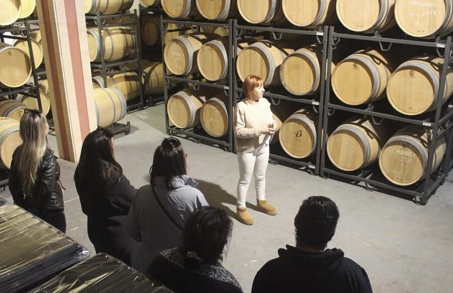 Alcúdia/Can Picafort: Guided Vineyard Visit and Wine Tasting - Who should book this vineyard visit?