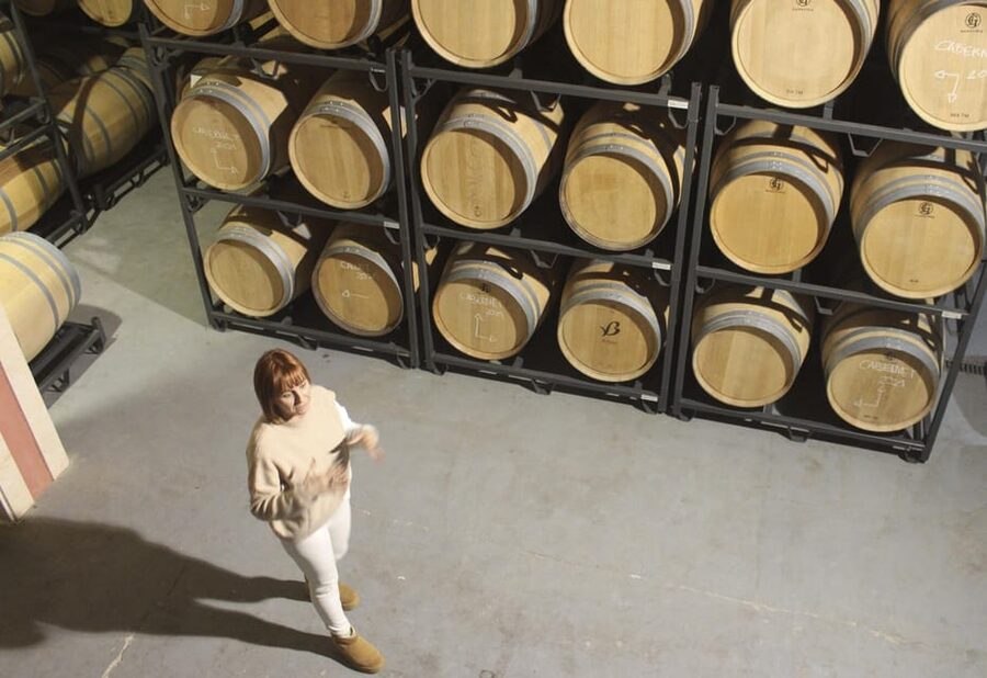 Alcúdia/Can Picafort: Guided Vineyard Visit and Wine Tasting - Five wines with Mallorcan snacks