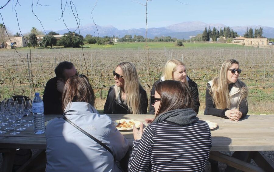 Alcúdia/Can Picafort: Guided Vineyard Visit and Wine Tasting - How long the afternoon feels