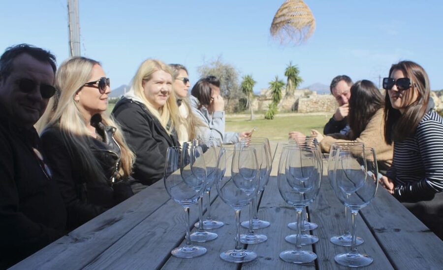 Alcúdia/Can Picafort: Guided Vineyard Visit and Wine Tasting - Languages and the style of guiding