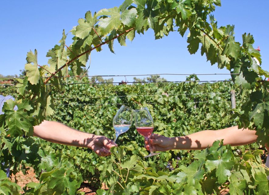 Algarve: 3 Types of Wine Tastings with Vineyard Views - A vineyard visit with room to linger