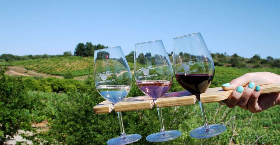 Algarve: 3 Types of Wine Tastings with Vineyard Views - The terrace is part of the experience