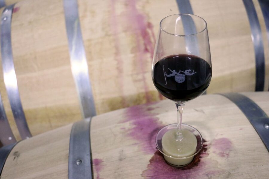 Algarve: 3 Types of Wine Tastings with Vineyard Views - The sculpture gardens add an unexpected second act
