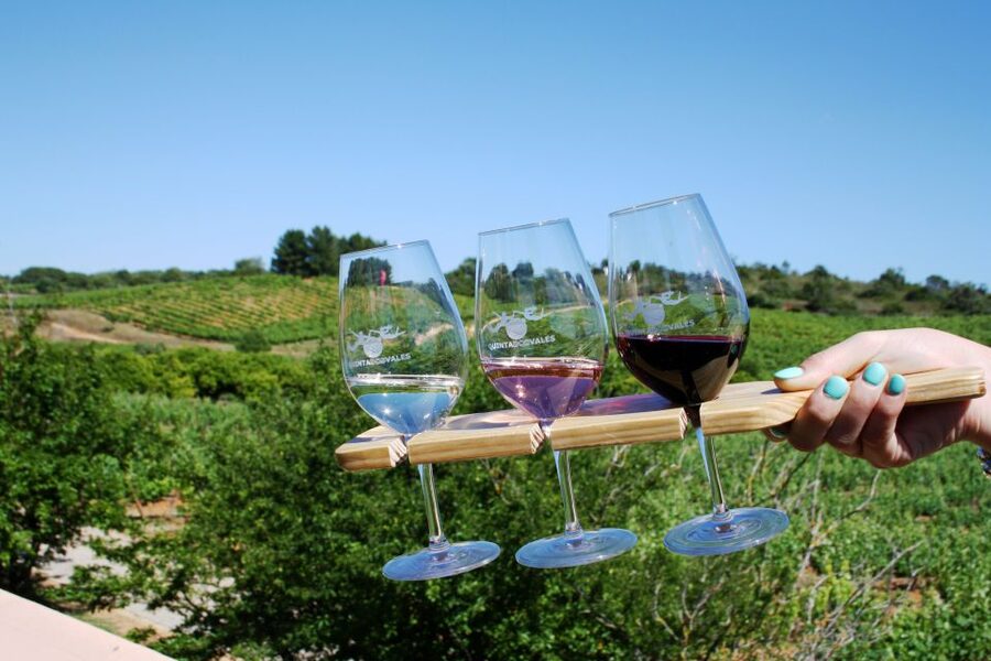 Algarve: 3 Types of Wine Tastings with Vineyard Views - Timing, access, and practical planning