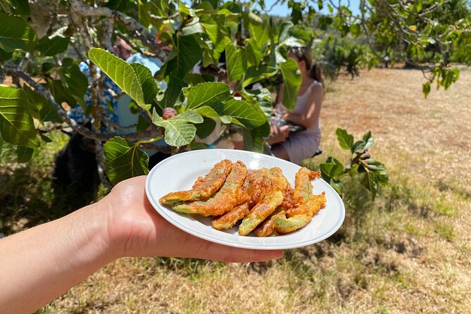 Algarve Mountais Tour with Lunch in the Vineyard - Barranco do Demo and its suspended bridge