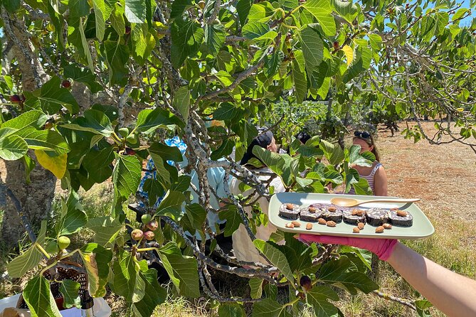 Algarve Romantic Vineyard Picnic in Carvoeiro - What the $180.01 price includes