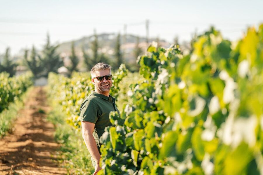 Algarve: Vineyard Tour & Premium Wine Tasting in Silves - Key points to know before booking