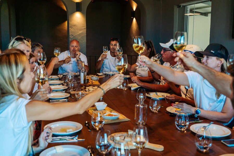 Algarve: Vineyard Tour & Premium Wine Tasting in Silves - Who will enjoy this experience most