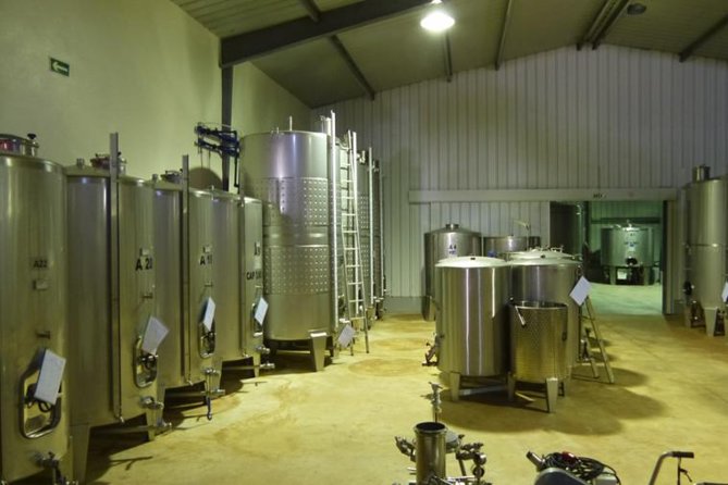 Algarve Wine Tour of Two Wine Estates - Two Algarve wineries, one compact afternoon