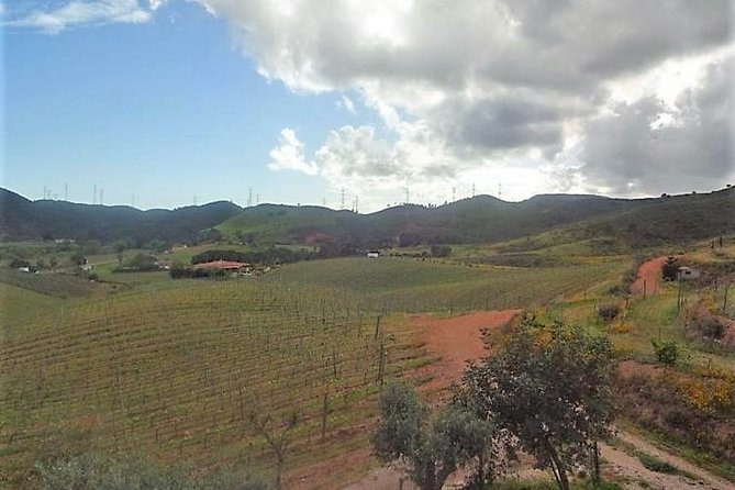 Algarve Wine Tour of Two Wine Estates - What Fabio adds to the afternoon