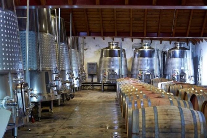 Algarve Wine Tour of Two Wine Estates - Six tastings, plus the food question