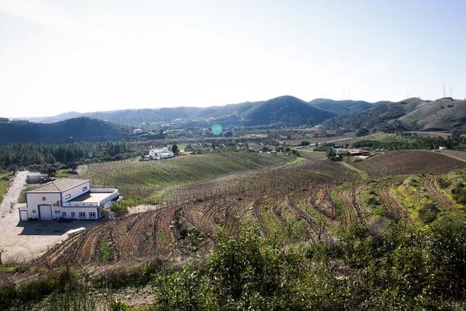 Algarve Wine Tour of Two Wine Estates - Quinta do Frances near the Monchique foothills