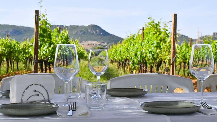 Alghero: lunch or dinner in the vineyard - A Sardinian meal among the vines