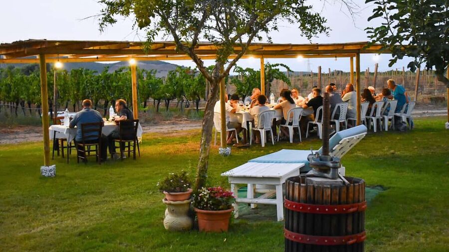Alghero: lunch or dinner in the vineyard - The vineyard walk and small cellar