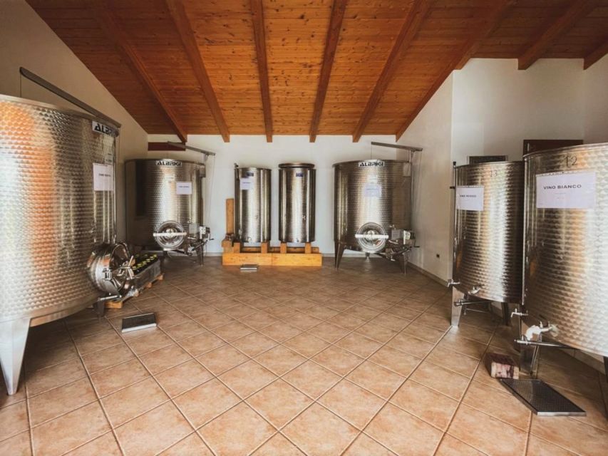 Alghero: lunch or dinner in the vineyard - The Sardinian menu, course by course