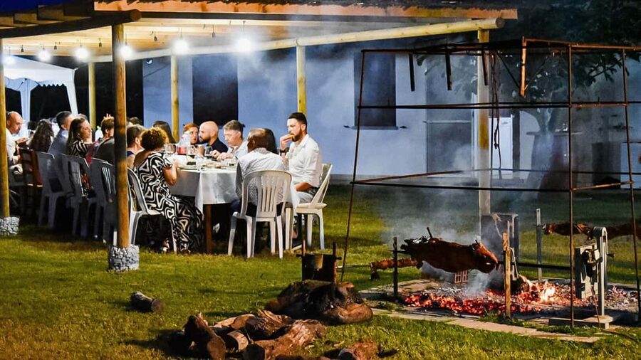 Alghero: lunch or dinner in the vineyard - Vegetarian and special-diet choices