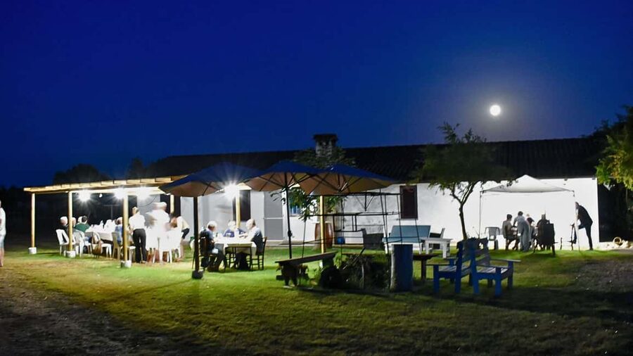Alghero: lunch or dinner in the vineyard - Choosing lunch or dinner near Alghero