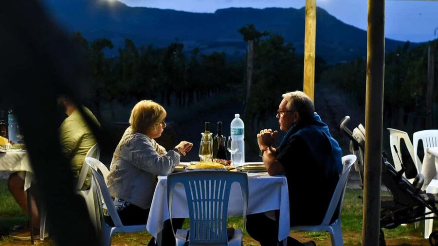 Alghero: lunch or dinner in the vineyard - Who will enjoy this experience most