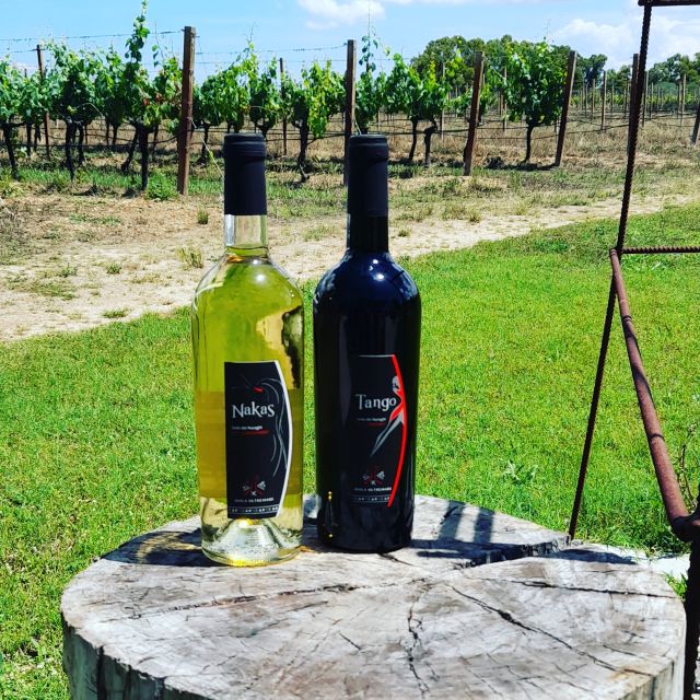 Alghero: wine tasting w/ local aperitif in the vineyard - The experience’s strongest points