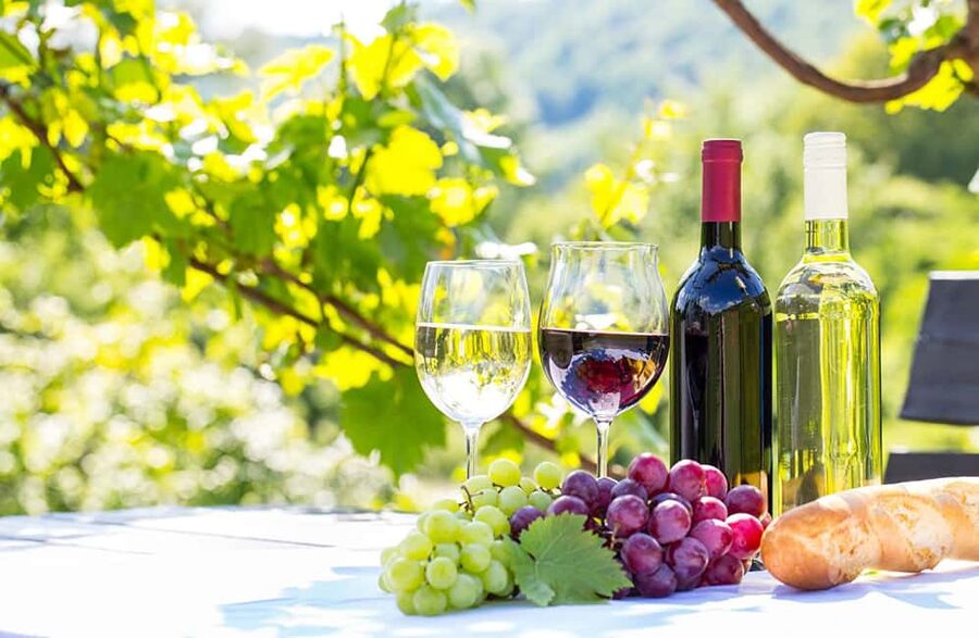 Alicante: Family Winery of Three Generations (4 testings) - Key points to know before booking