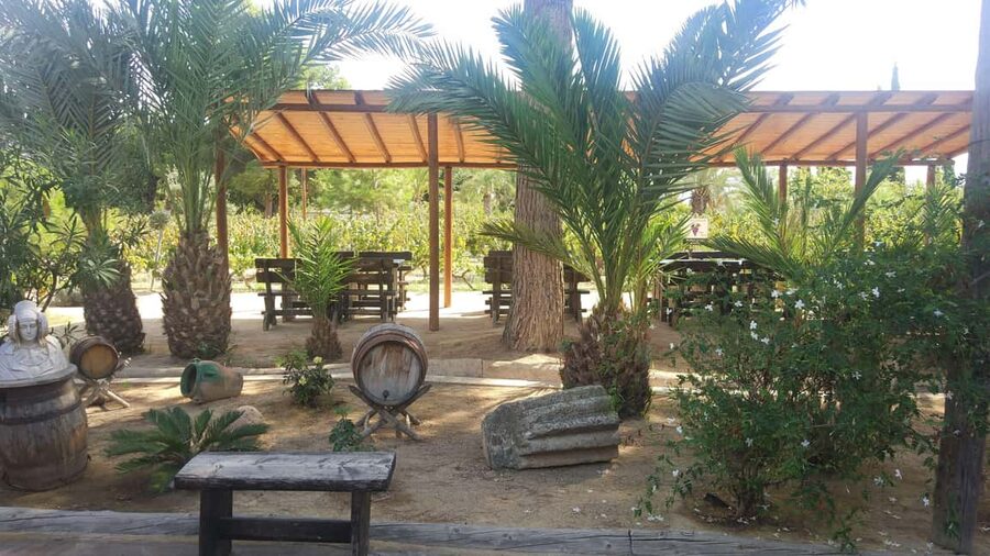 Alicante: Family Winery of Three Generations (4 testings) - Walking through the vineyard and production areas