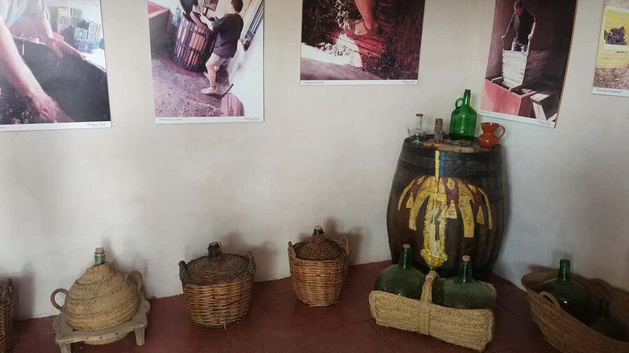 Alicante: Family Winery of Three Generations (4 testings) - Bringing children to the winery