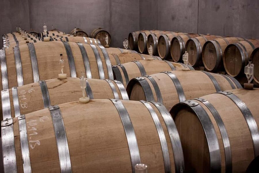 Alicante: Family Winery of Three Generations (4 testings) - Price, payment, and the value question