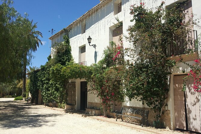 Alicante: Historic Winery (1707), 3 Wine Tasting & Transfer - From Alicante to Novelda by private car