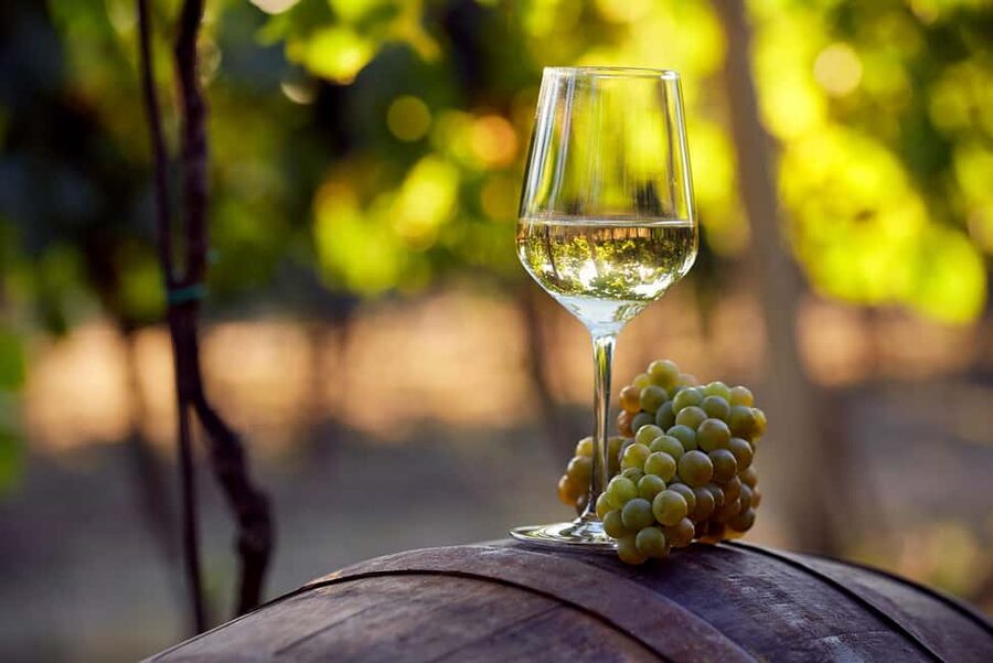 Alicante: Historic Winery Guided Tour + Wine Tasting / Private Transportation - A 1707 winery with a working purpose