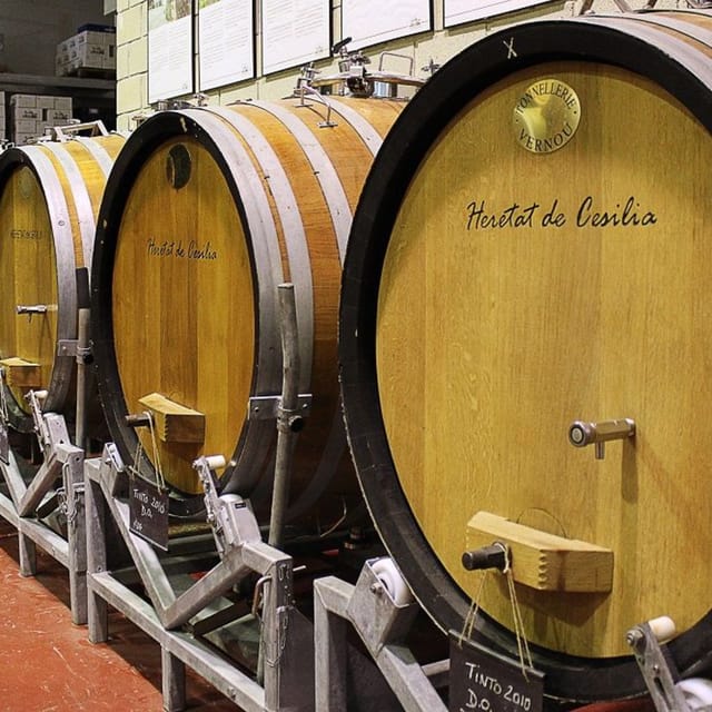 Alicante: Historic Winery Guided Tour + Wine Tasting / Private Transportation - Inside the fermentation and production rooms
