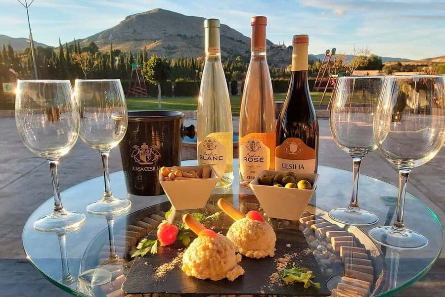 Alicante: Historic Winery Guided Tour + Wine Tasting / Private Transportation - Three wines, local snacks, and a practical tasting