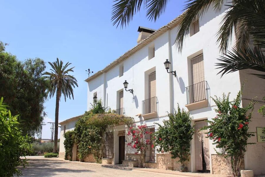 Alicante: Historic Winery Guided Tour + Wine Tasting / Private Transportation - Staying for lunch at the winery restaurant