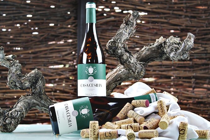 Alicante: Old Winery with Tastings & Gaudí's style of Church - Why Novelda makes a good wine outing from Alicante