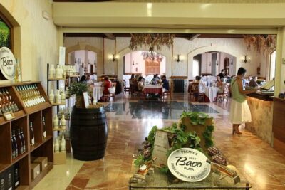 Alicante: Old Winery with Tastings & Gaudí’s style of Church
