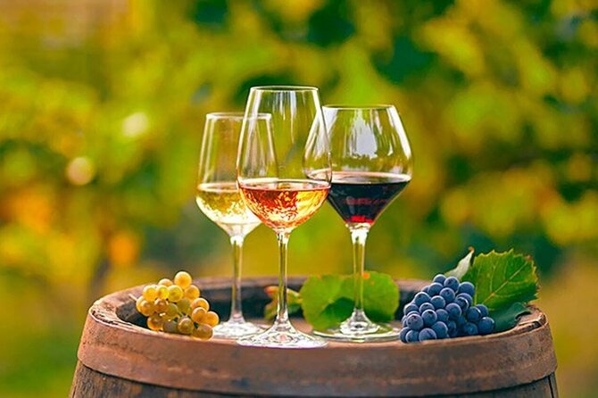 Alicante: Old Winery with Tastings & Gaudí's style of Church - The guide can make the difference