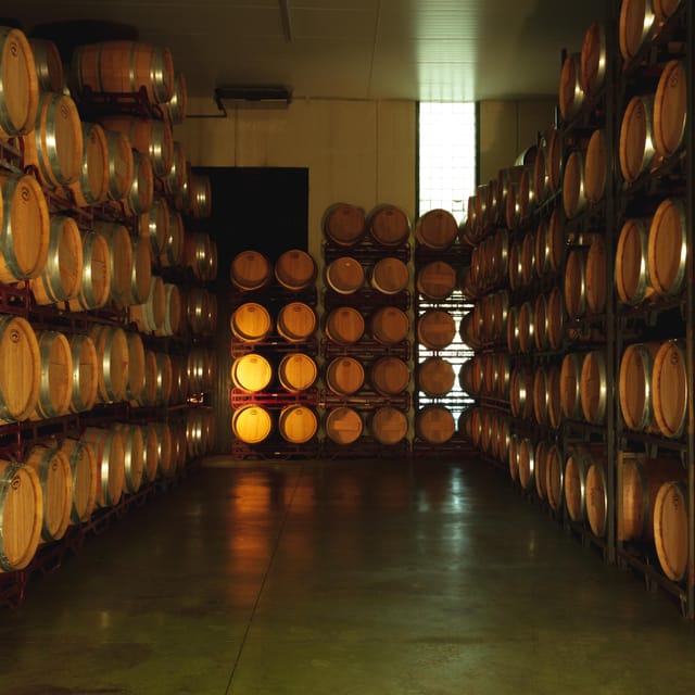 Alicante (Pinoso): Tour Experience Back from the Vineyard to the glass - Key points at a glance