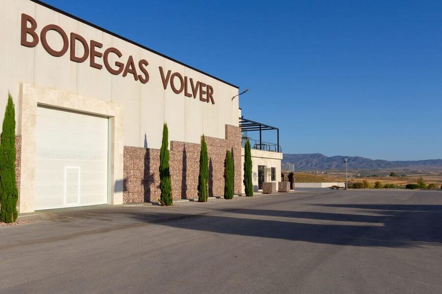 Alicante (Pinoso): Tour Experience Back from the Vineyard to the glass - Starting at Bodegas Volver near Pinoso