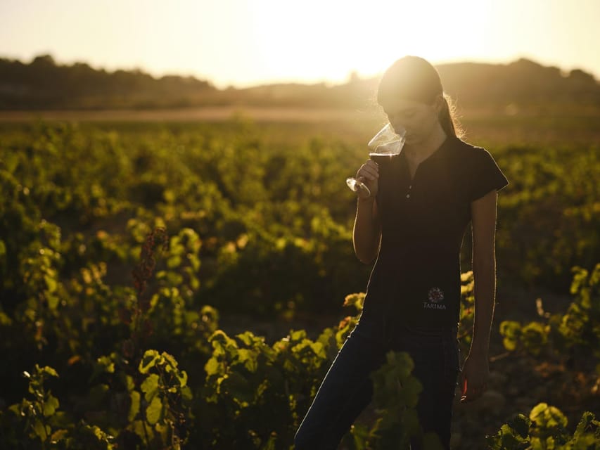 Alicante (Pinoso): Tour Experience Back from the Vineyard to the glass - Seeing how red and white wines are made
