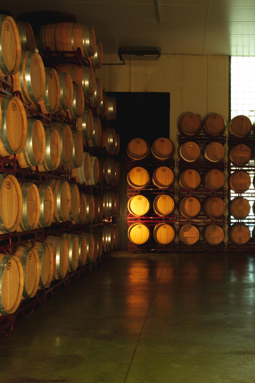Alicante (Pinoso): Tour Experience Back from the Vineyard to the glass - Four wines with local products