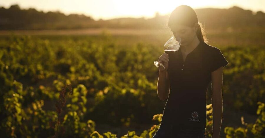 Alicante (Pinoso): Tour Experience Back from the Vineyard to the glass - Choosing an English or Spanish departure