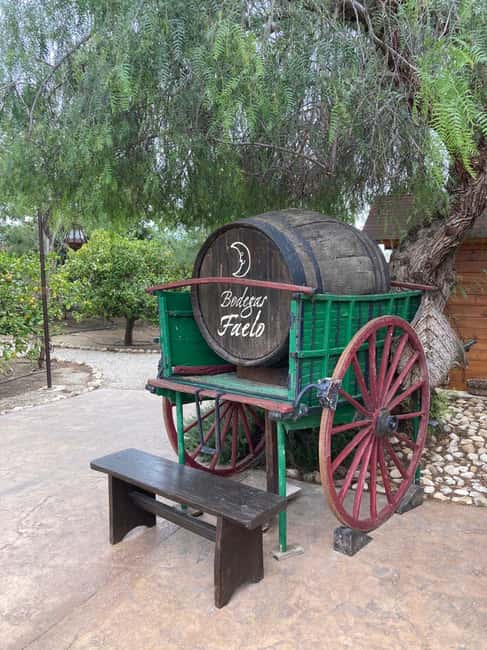 Alicante/Santa Pola -Best winery tour with tasting - A family winery beyond Alicante