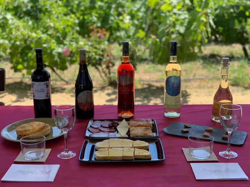 Alicante/Santa Pola -Best winery tour with tasting - Seeing how Alicante wine is made